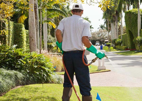 About Earle AR Pest Control Pros